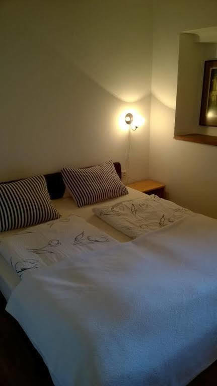 Family Hotel Domažlice Eksteriør billede